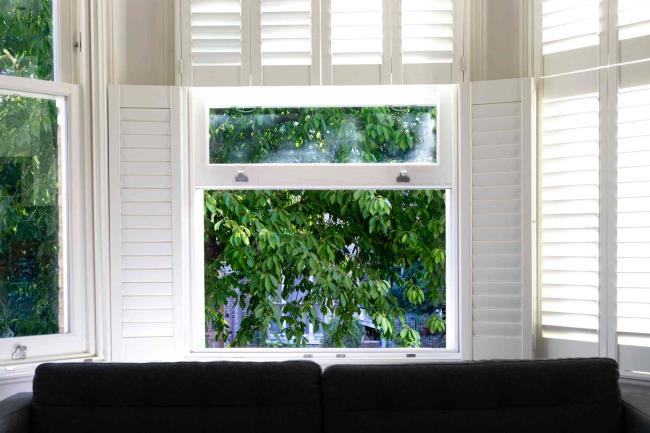 White wooden shutters framing window with tree outside