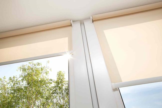 Cream colored roller shades by window and tree