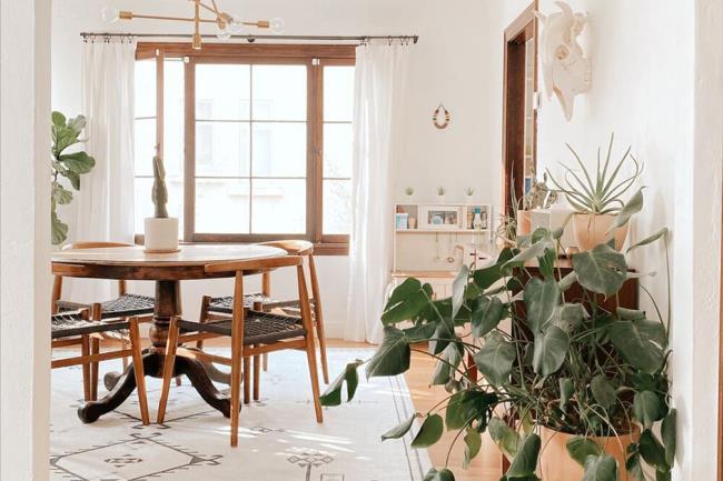 windows in a dining room