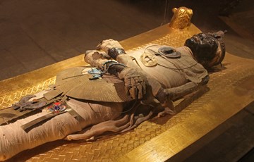 Amazing Egyptian Mummy Fact