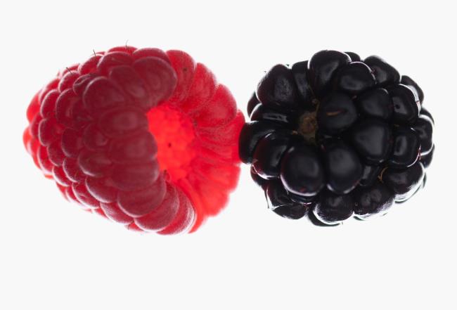 Raspberry vs Blackberry