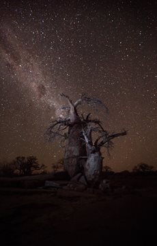 Namibia Night Sky